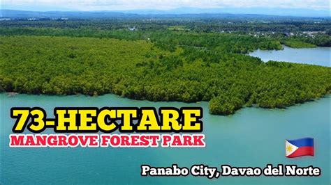panabo scandal|Shame and scandal in Davao del Norte .